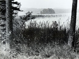 Fotografien Osterseen
