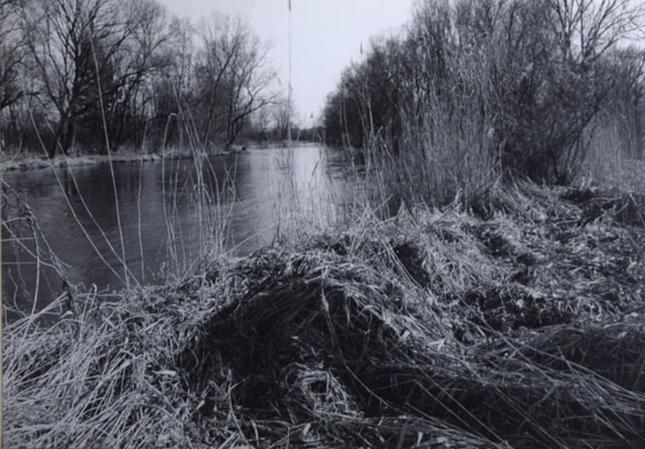 Konrad Sommer: An der Amper, Schwarzweißfoto, 1981 