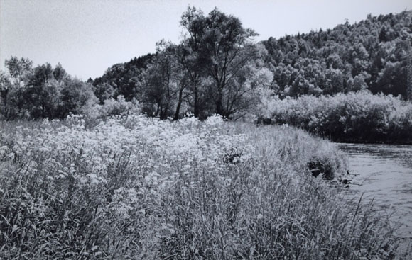 Konrad Sommer: An der Amper, Schwarzweißfoto, 1981  