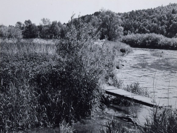 Konrad Sommer: An der Amper, Mai 1981, Schwarzweißfoto 
