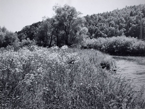 Konrad Sommer: An der Amper, Mai 1981, Schwarzweißfoto 