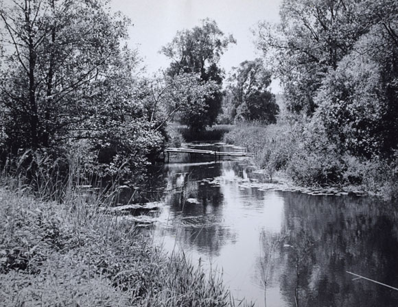 Konrad Sommer: An der Amper, Mai 1981, Schwarzweißfoto 