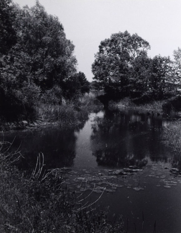 Konrad Sommer: An der Amper, Mai 1981, Schwarzweißfoto 
