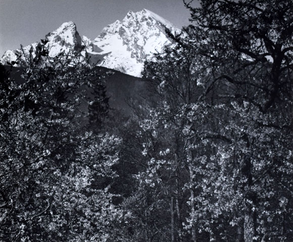 Konrad Sommer: Watzmann, Schwarzweißfoto, 1965