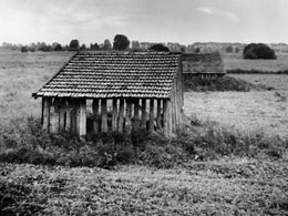 Fotografien Mooslandschaften