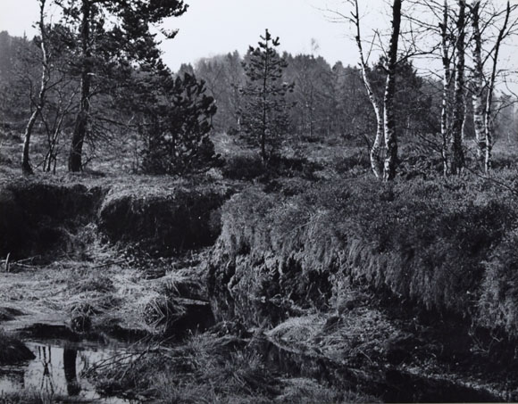 Konrad Sommer: Wagge Moos, Schwarzweißfoto, 1982