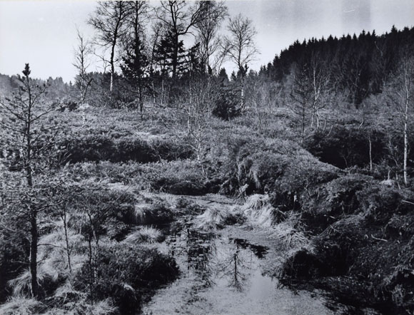 Konrad Sommer: Wagge Moos, Schwarzweißfoto, 1982