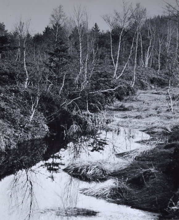 Konrad Sommer: Wagge Moos, Schwarzweißfoto, 1982