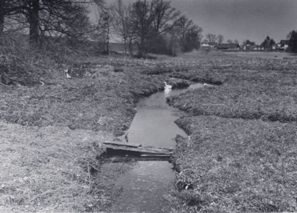 Konrad Sommer: Degerndorf, Schwarzweißfoto, 1982
