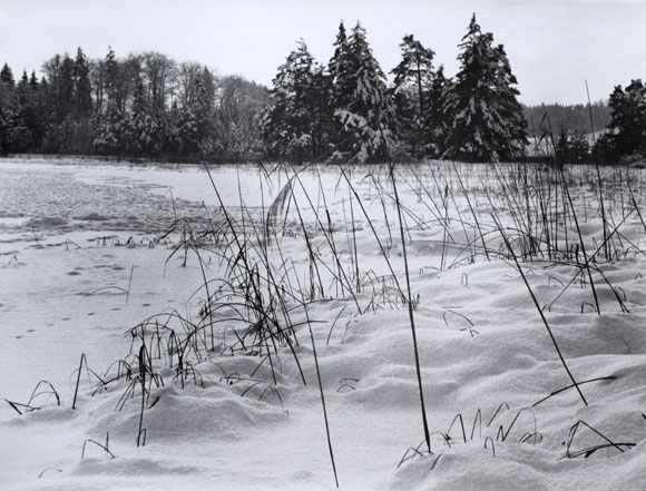 Konrad Sommer: An den Osterseen, Schwarzweißfoto, 1977