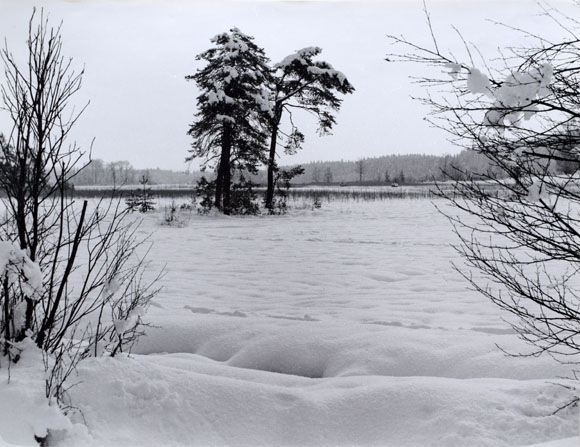 Konrad Sommer: An den Osterseen, Schwarzweißfoto, 1977