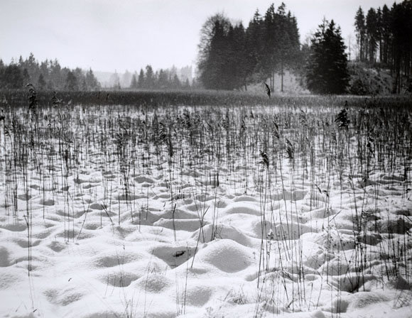 Konrad Sommer: An den Osterseen, Schwarzweißfoto, 1977