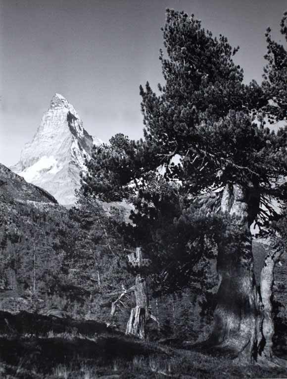 Konrad Sommer: Matterhorn vom Riffelberg, Schwarzweißfoto, September 1964  