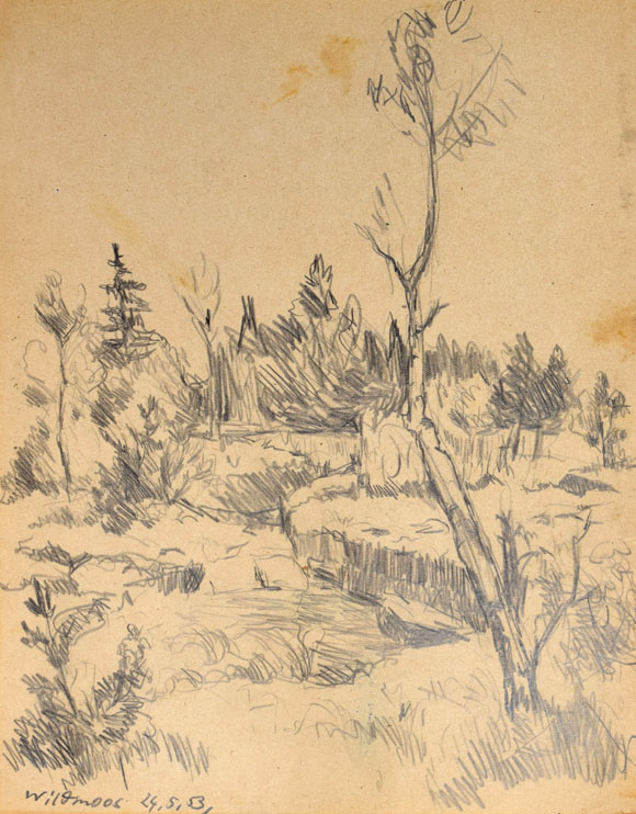 Konrad Sommer:  Wildmoos, 24.05.1953, Bleistift auf Papier, 25,2 x 19,7 cm