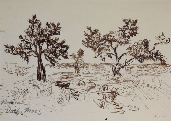 Konrad Sommer: Kiefern Dachauer Moos, 12.05.1956, Tusche auf Papier, 20,2 x 28,6 cm