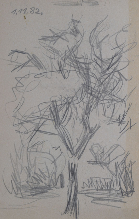 Konrad Sommer: Baumstudie, 1.11.1978, Bleistift auf Papier, 21,0 x 13,5 cm
